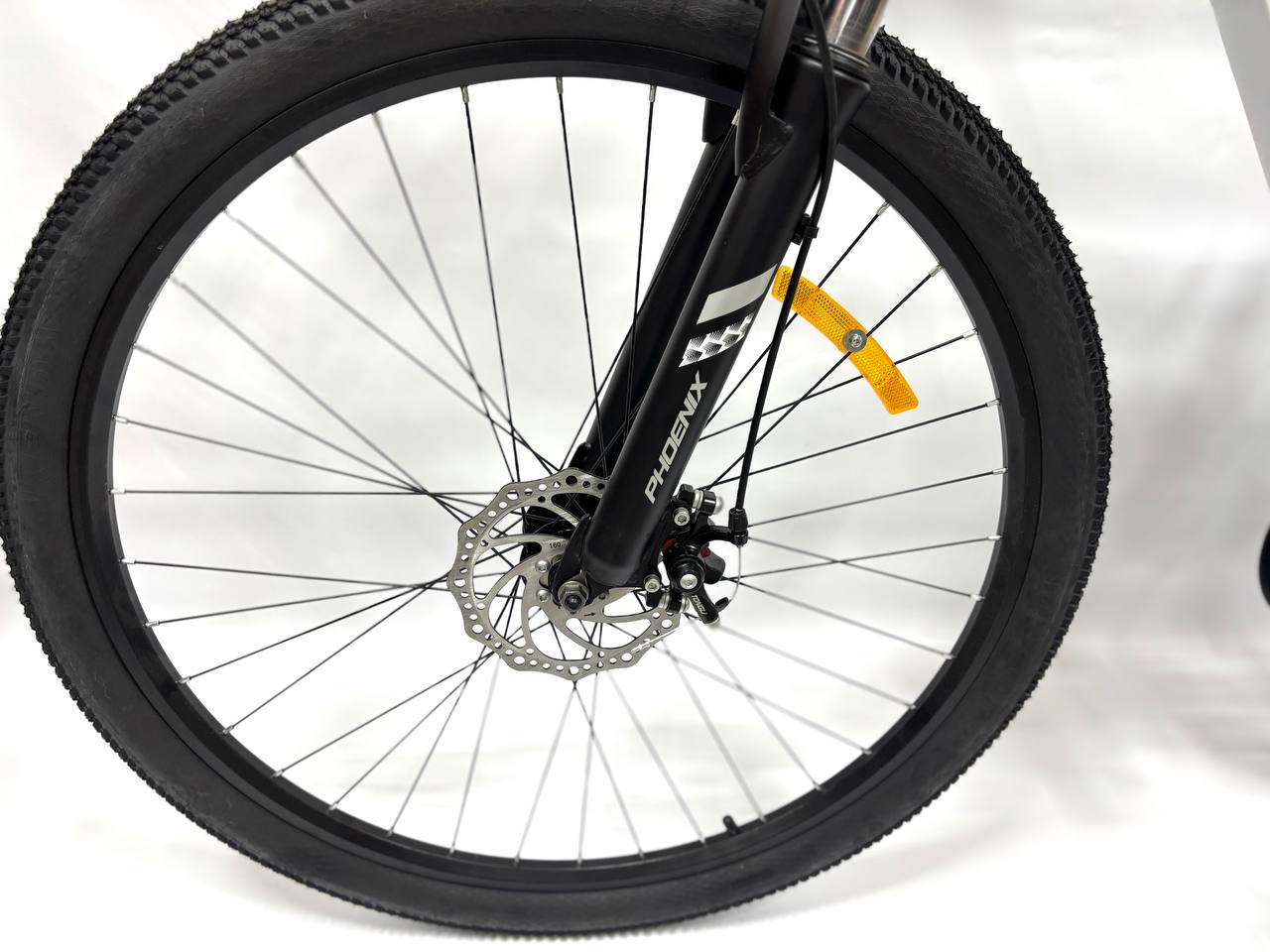 PHOENIX — VELOSPORT